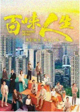 16影视热播剧雾港行动